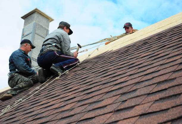 Best Roof Maintenance Services  in San Augustine, TX
